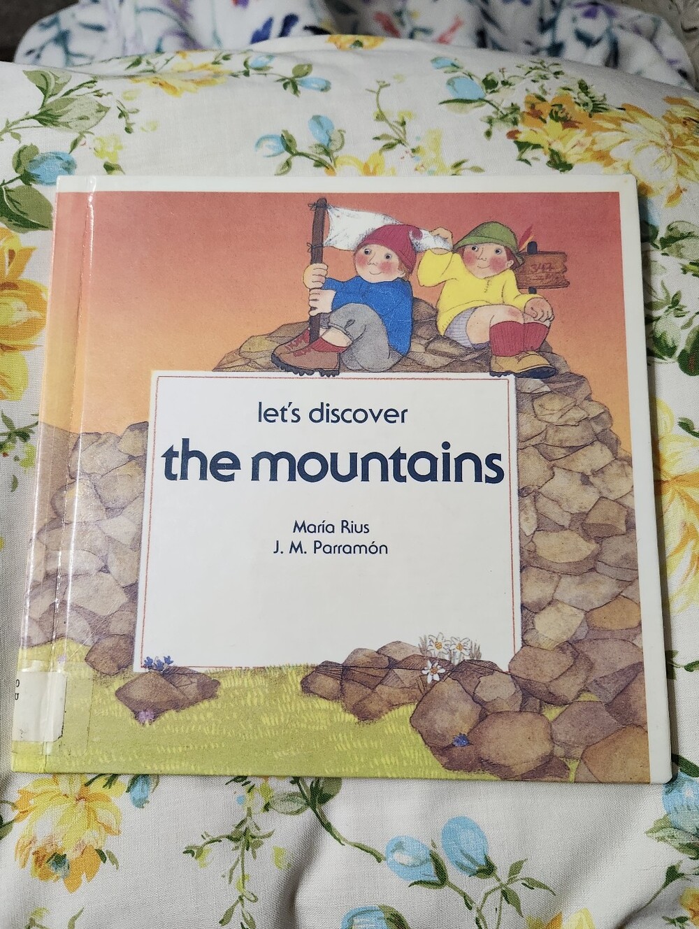 Vintage 1986 "Let’s Discover the Mountains" Children's Book